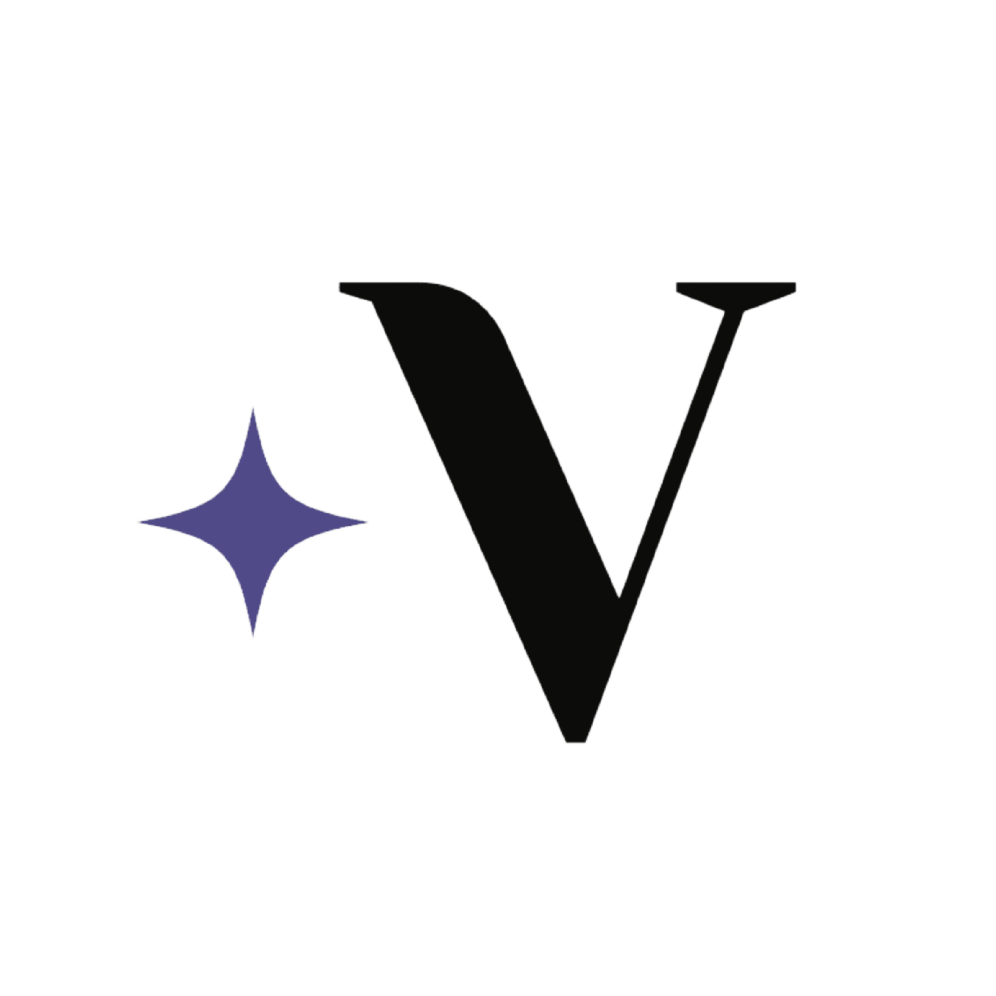 Logo Veya Studio